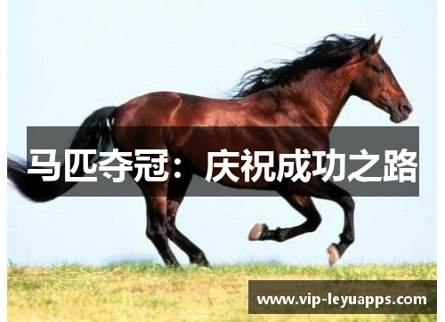 马匹夺冠：庆祝成功之路